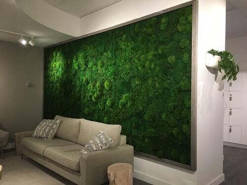 Preserved Mixed Moss Walls