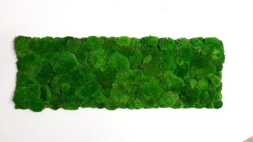 Preserved Pole Moss Wall