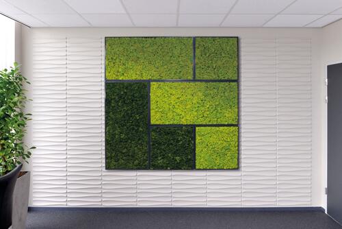 Preserved Moss Frames