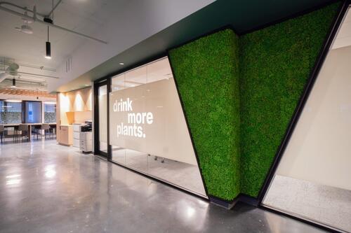 Preserved Reindeer Moss Wall