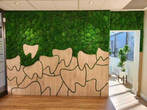 Preserved Pole Moss Wall