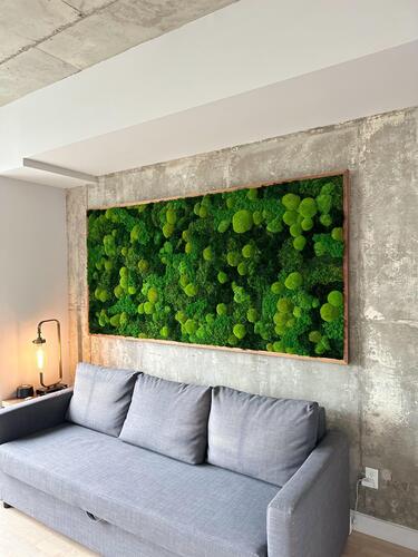Preserved Moss Frames