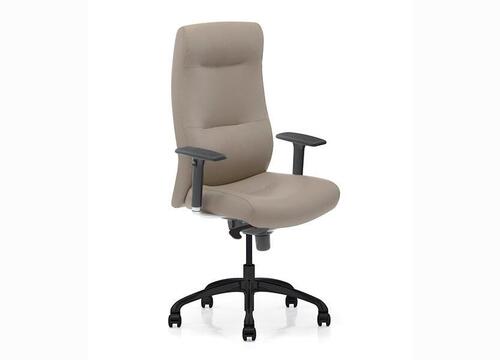 Dorso E-Line
