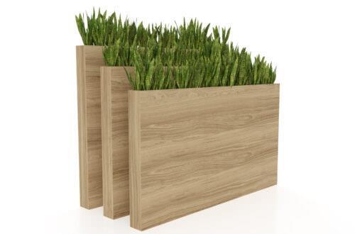 Hedge Dry Planters
